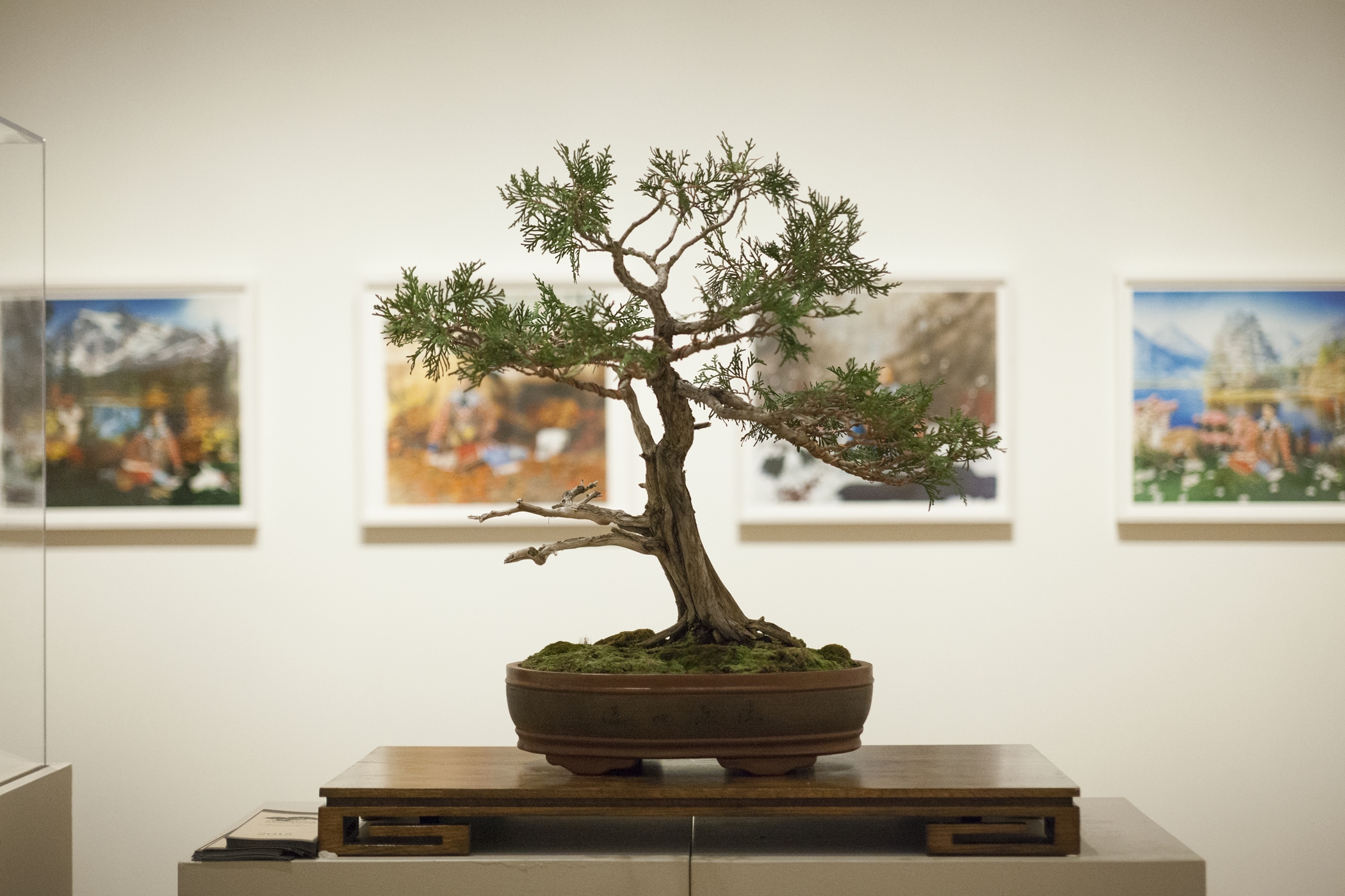 Art in Bloom 2015: Timeless Art & Fresh Flowers; Thursday April 30 - Sunday May 3, 2015; The 32nd year of Art in Bloom, a four-day festival of fresh floral arrangements and fine art, presented by the Friends of the Institute at the Minneapolis Institute of Arts.