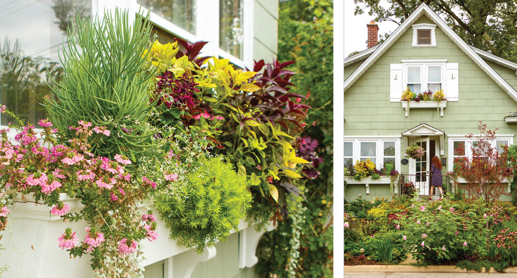 Window boxes line Tina Long's Green-Hued House