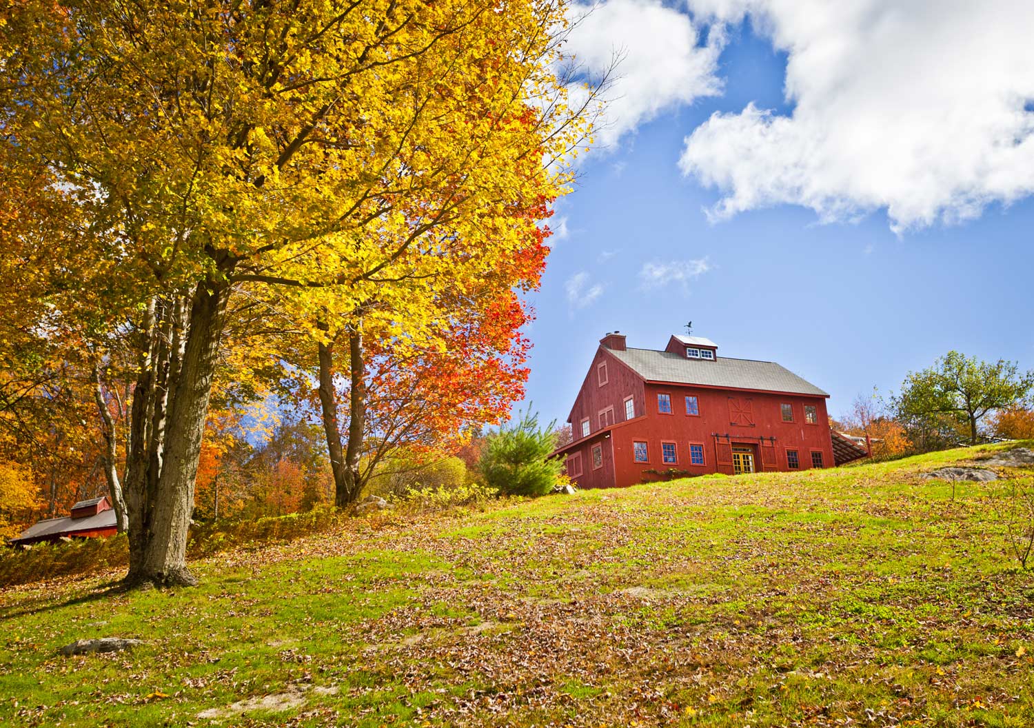 Barn on Farm in Fall