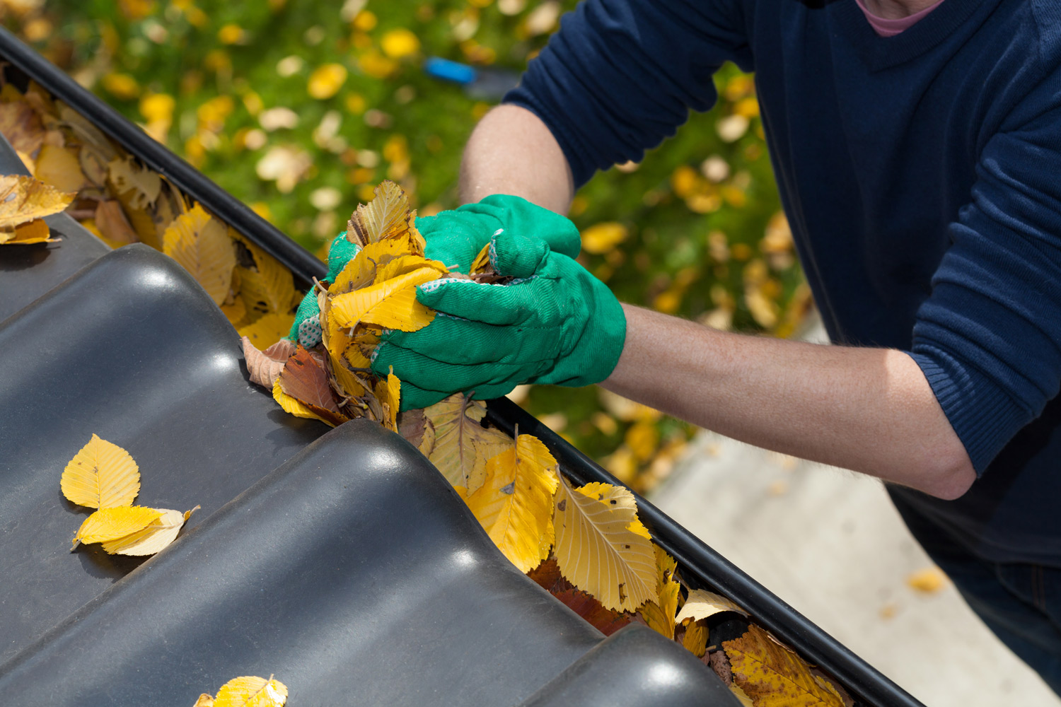 Cleaning Fall Gutters