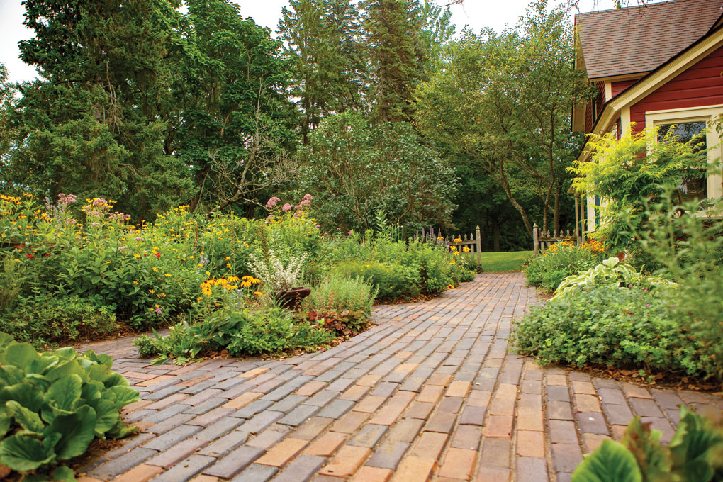 Repurposed bricks create a path through a charming entry garden flanked by herbs, perennials and small shrubs such as the Tiger Eyes sumac with chartreuse foliage near the house.