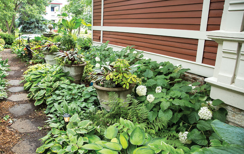 A shady path is flanked by hostas leading to the backyard of John and Leslie Mercer's St. Paul home.