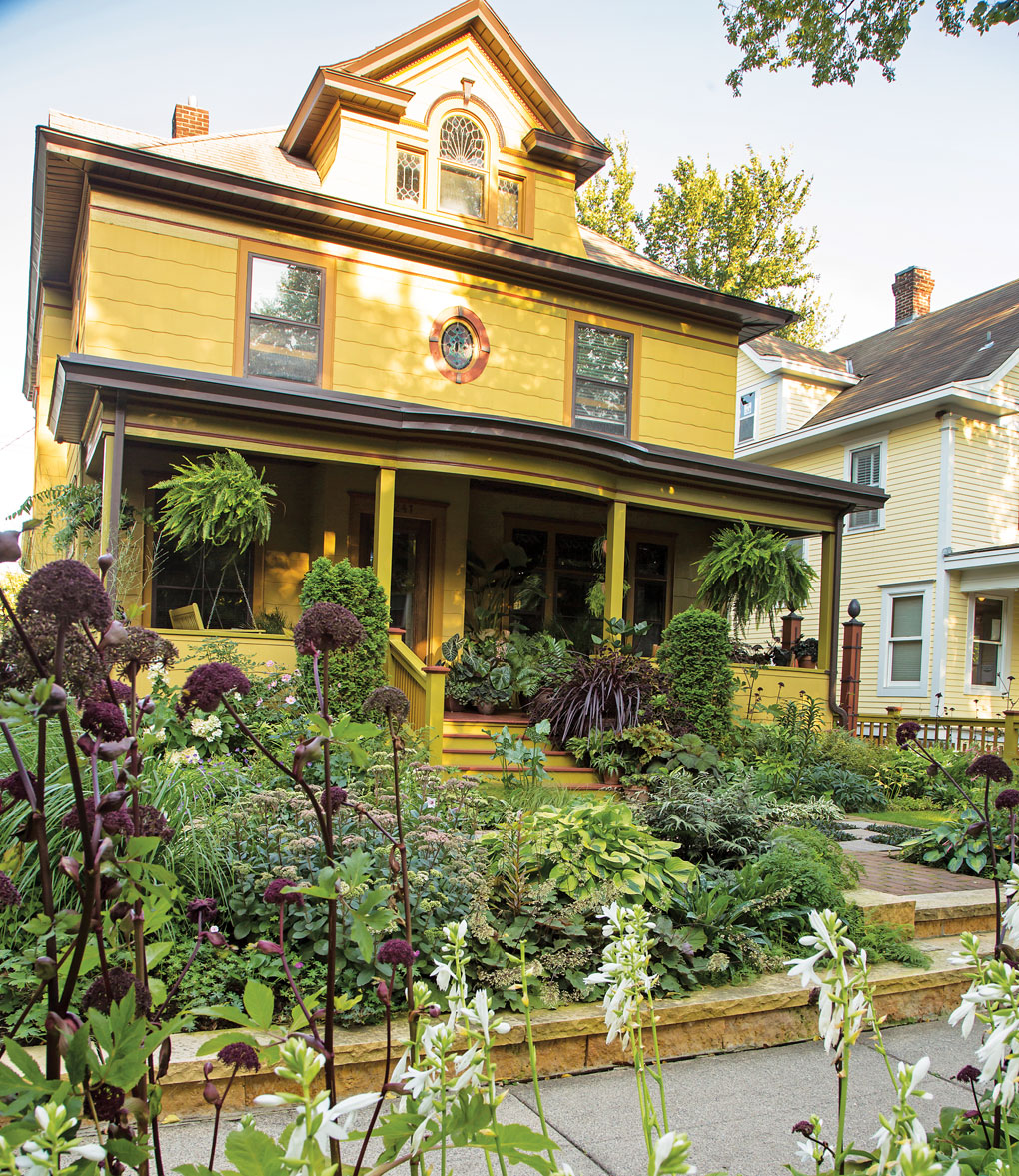 The front garden of a home is covered in lush greenery, including hosta "Luna Moth", Agelica gigas, sedum Maestro, Cordyline Festival grass and more.