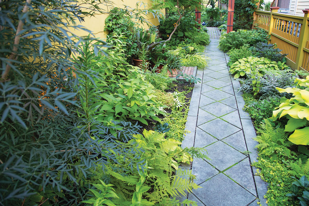 A walkway along the side of a home is flanked by lush, green foliage.