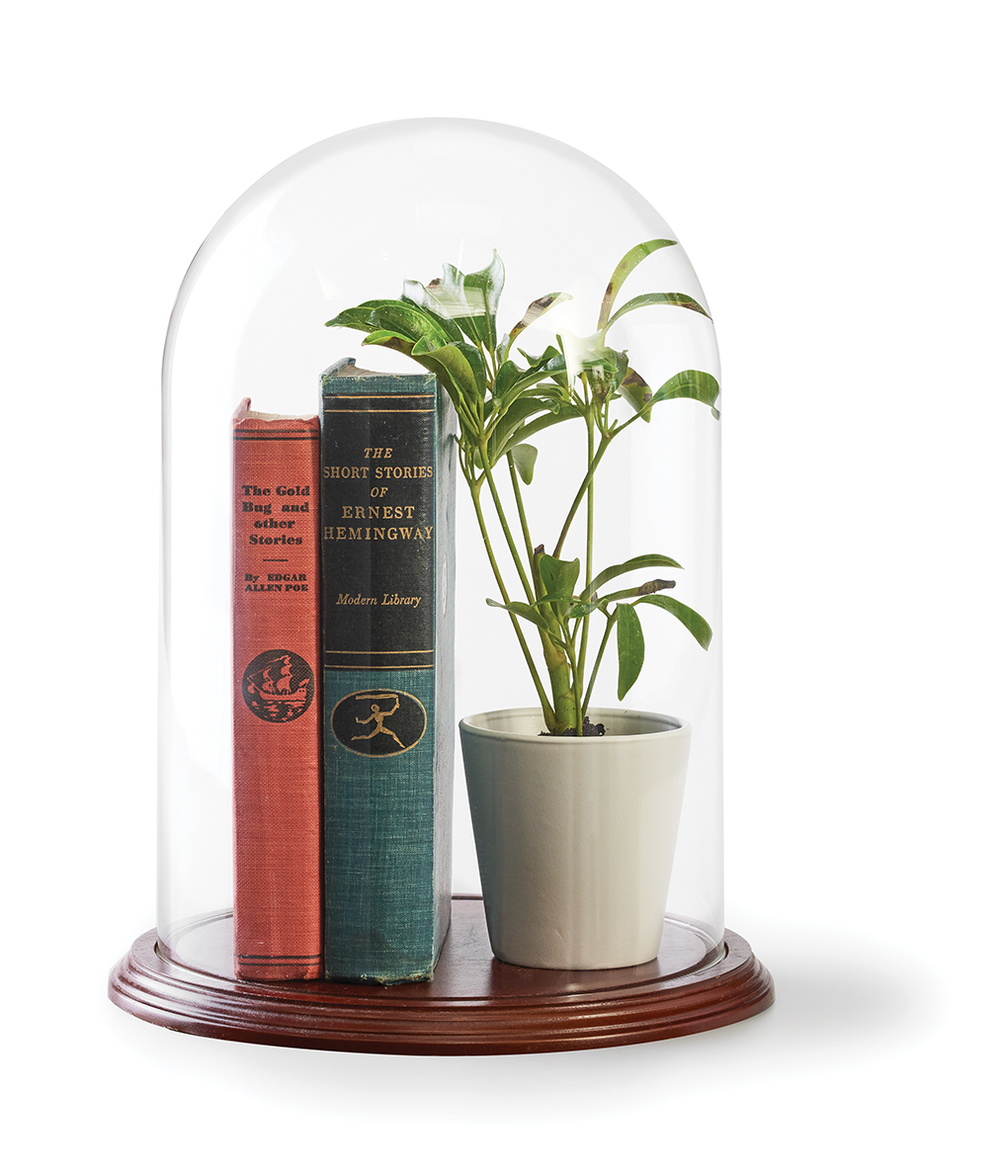A cloche with books and potted plant inside.