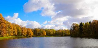 A small lake in autumn on a partly cloudy day.