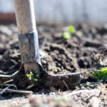 Shovel breaking ground in soil