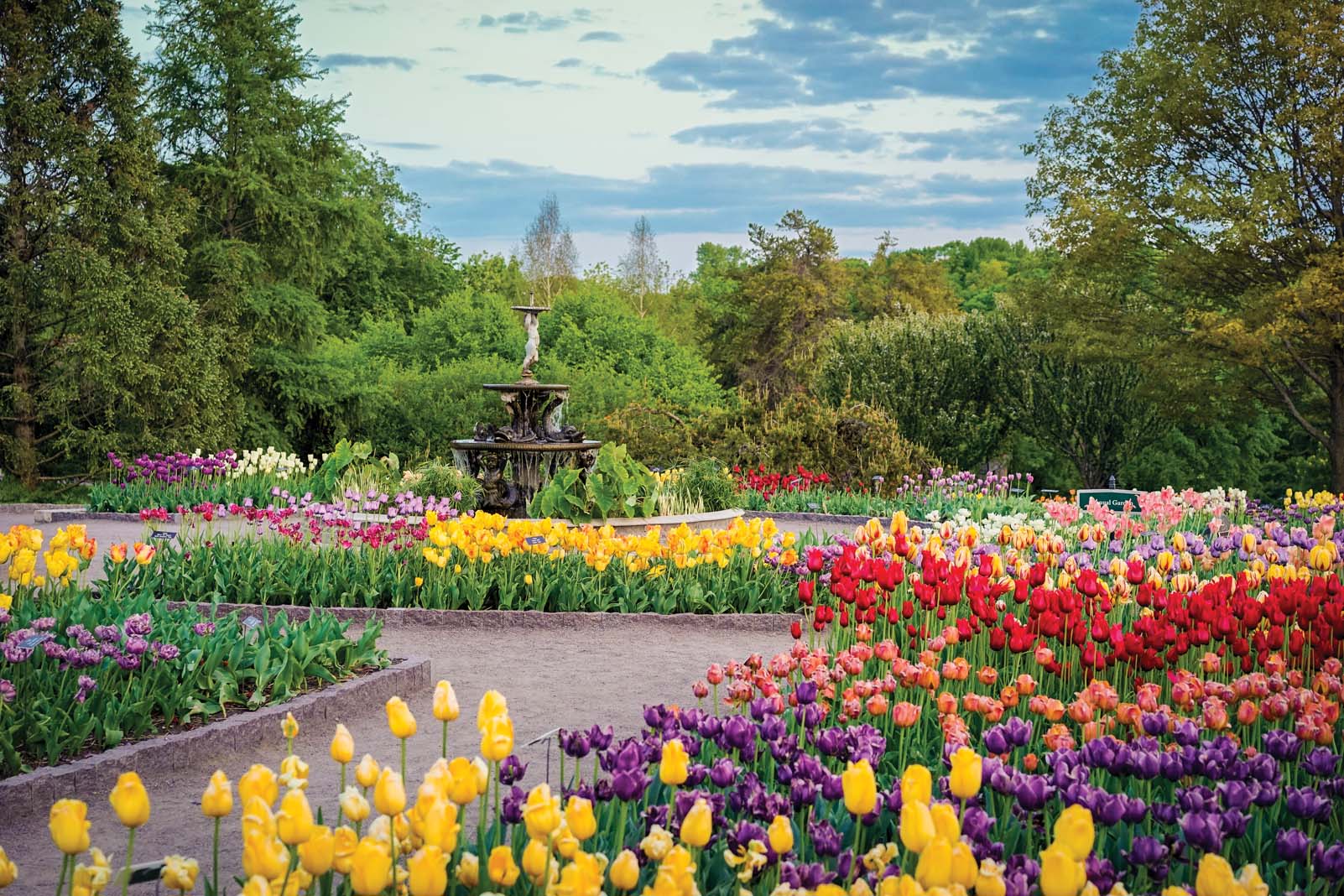 https://cdn.midwesthome.com/wp-content/uploads/sites/2/2019/03/mh-2019-03_Around-Town_Minnesota-Landscape-Arboretum_Tulips_X.jpg