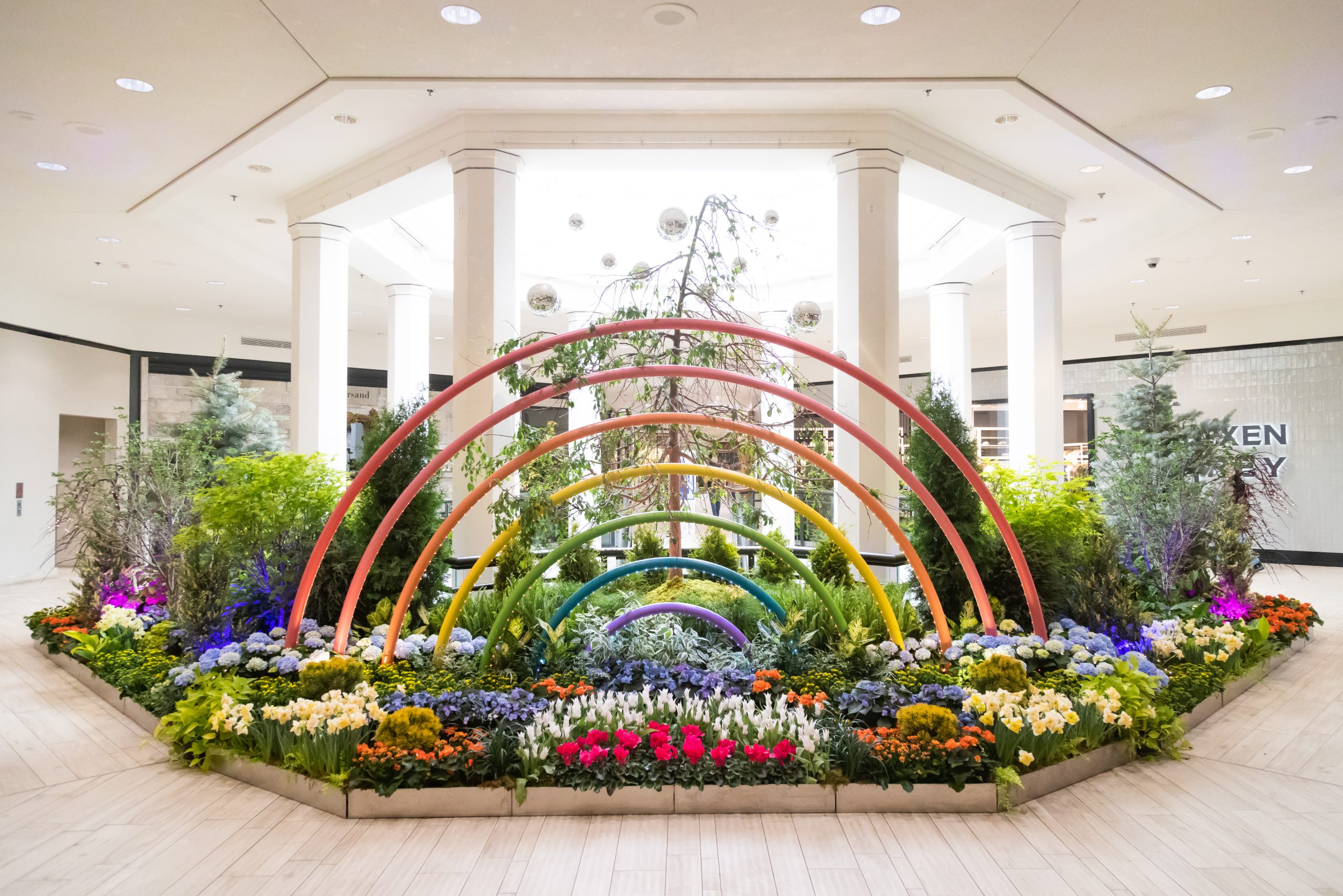 Galleria Edina's Floral Experience Returns for the Fourth Year - Midwest  Home